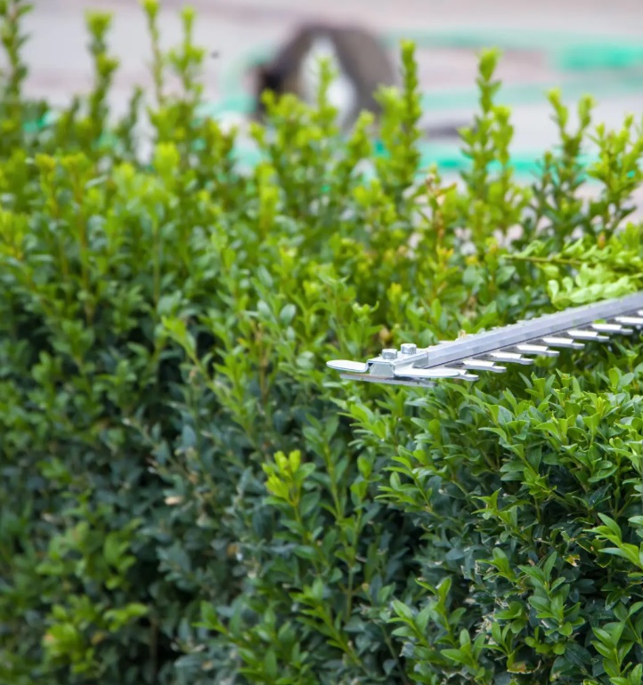 Specialiserade på Arborist i Österängen