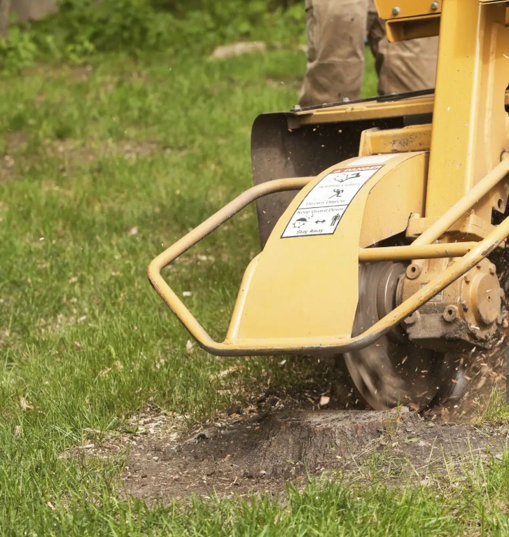 Arborist i Österängen med erfarna stubbfräsare