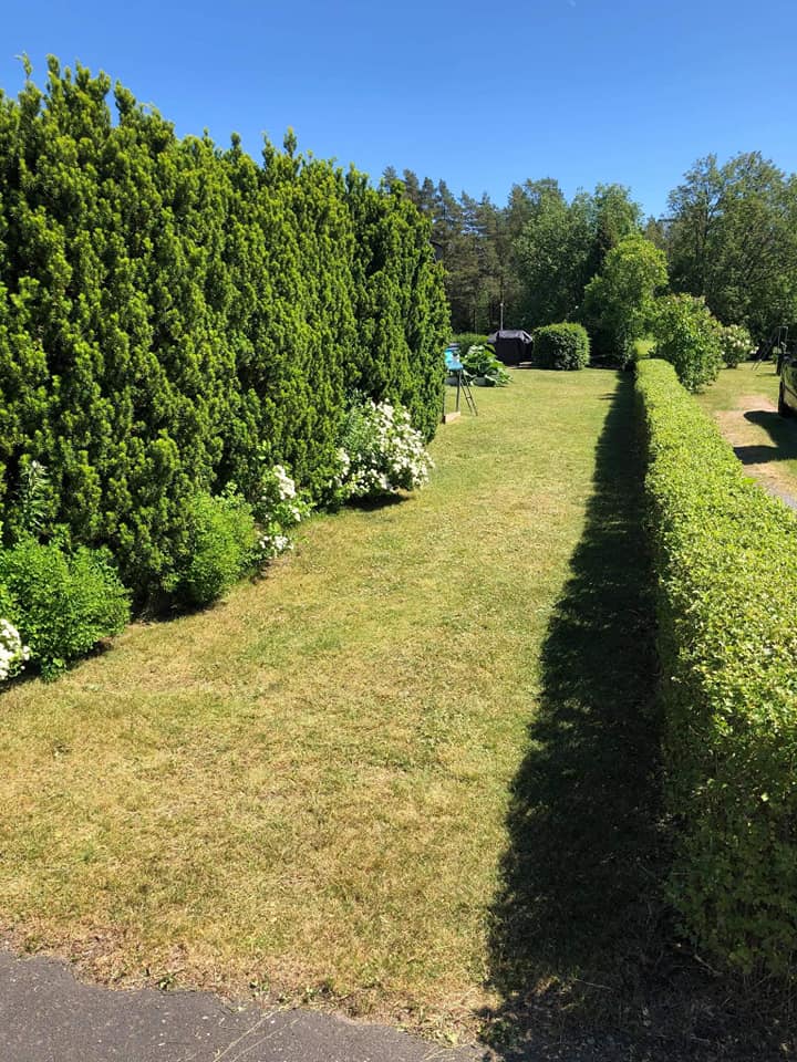 Arborist i Österängen - Boka din service idag