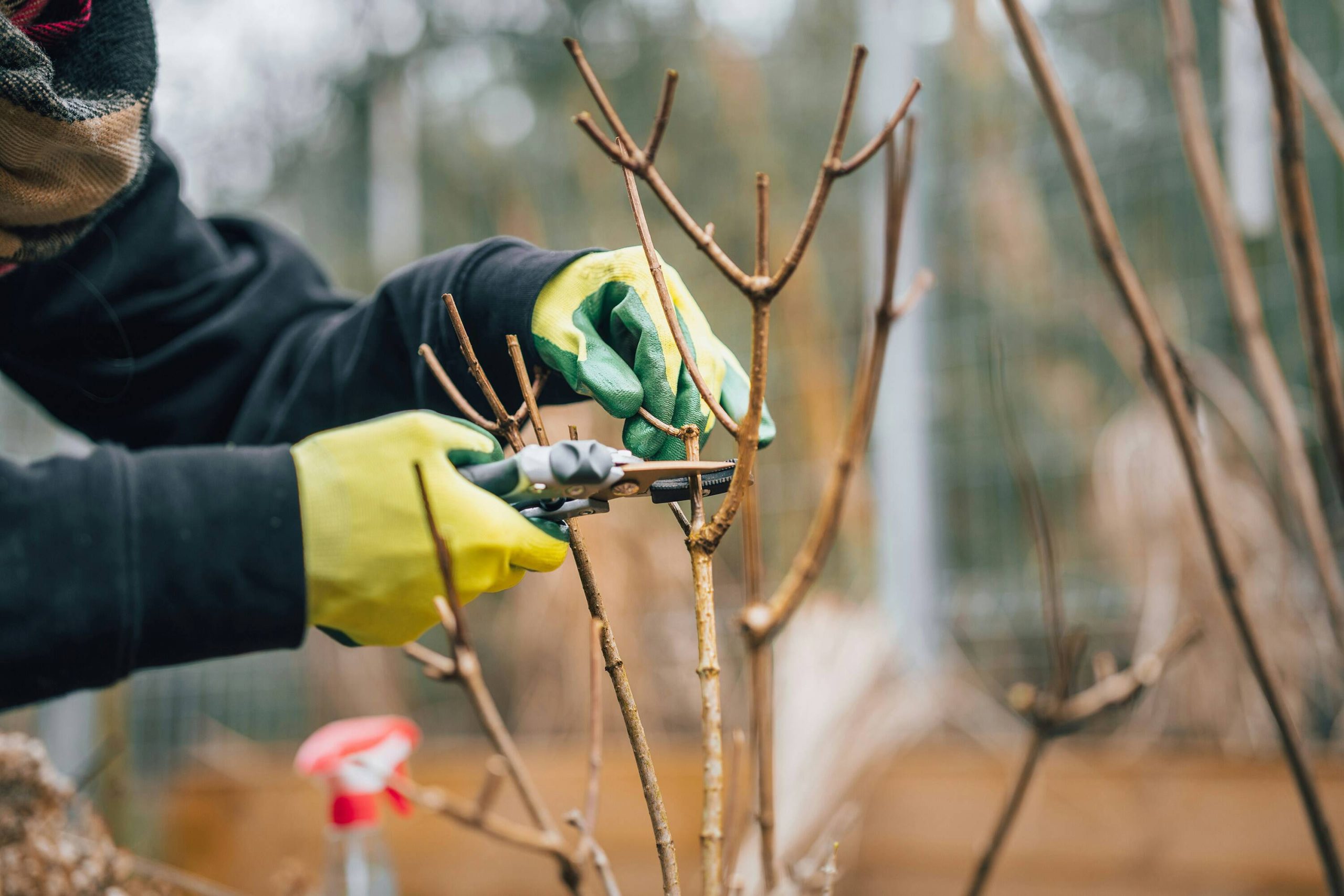 Bästa Arborist för dig i Österängen